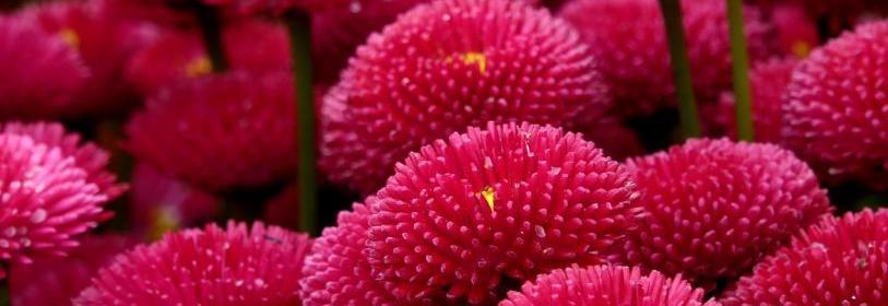 ירידה נכונה במשקל מדידת אחוז שומן ומסת שריר