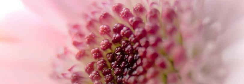 דיקור קוסמטי