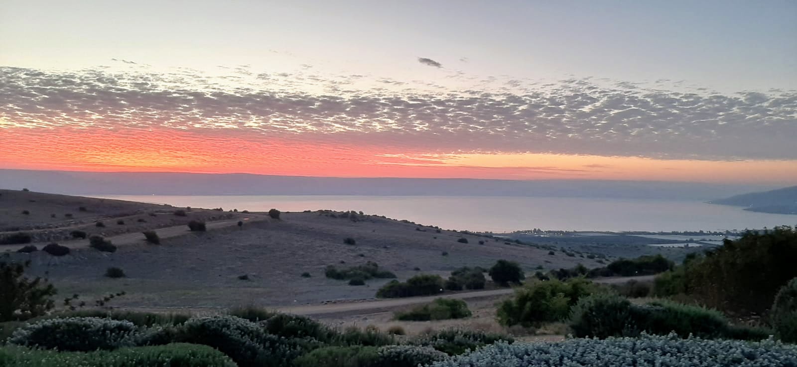כמה שעות את ישנה בלילה?⠀